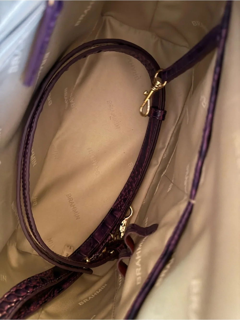 Brahmin eye catching